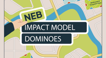NEB IM Dominoes