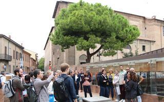 A group of people standing around listening to a presenter outside. The background includes some buildings that look like heritage buildings and a beautiful tree. 