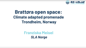 Brattøra Harbour in Trondheim - Landscape Transformations