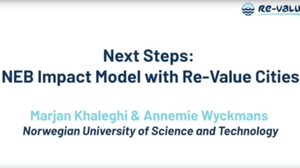 Next Steps: NEB Impact Model with Re-Value Cities