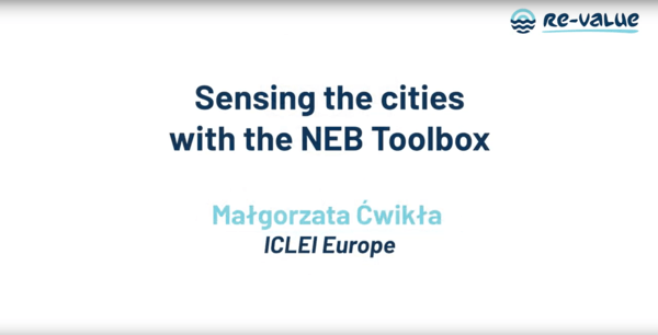 05 New European Bauhaus (NEB) - Małgorzata Ćwikła
